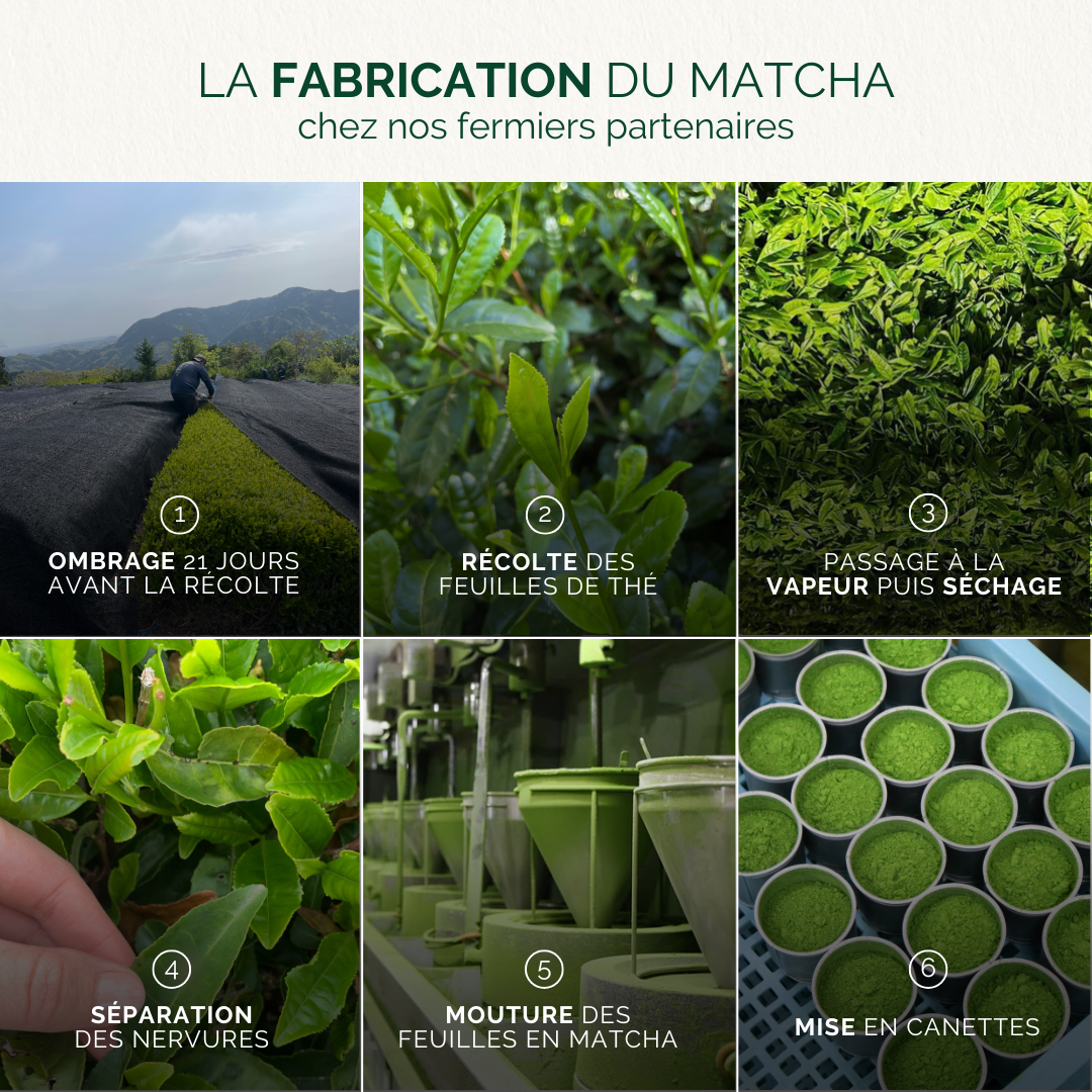 THÉ MATCHA PREMIUM BIO